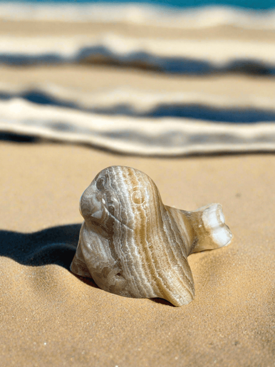 Medium Seal Carvings