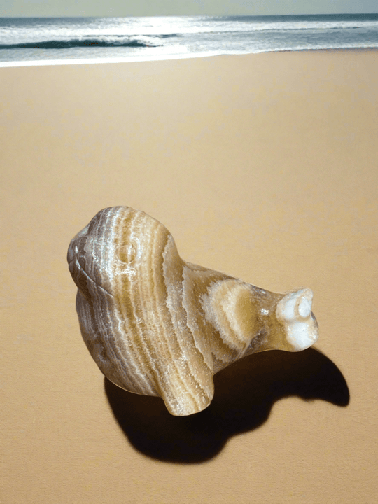 Medium Seal Carvings