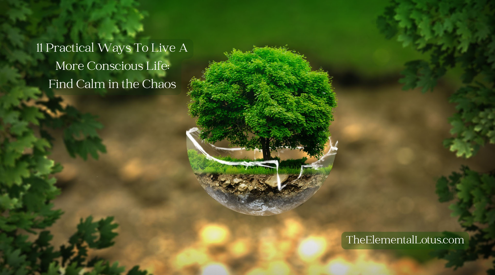 11 Practical Ways To Live A More Conscious Life:  Find Calm in the Chaos