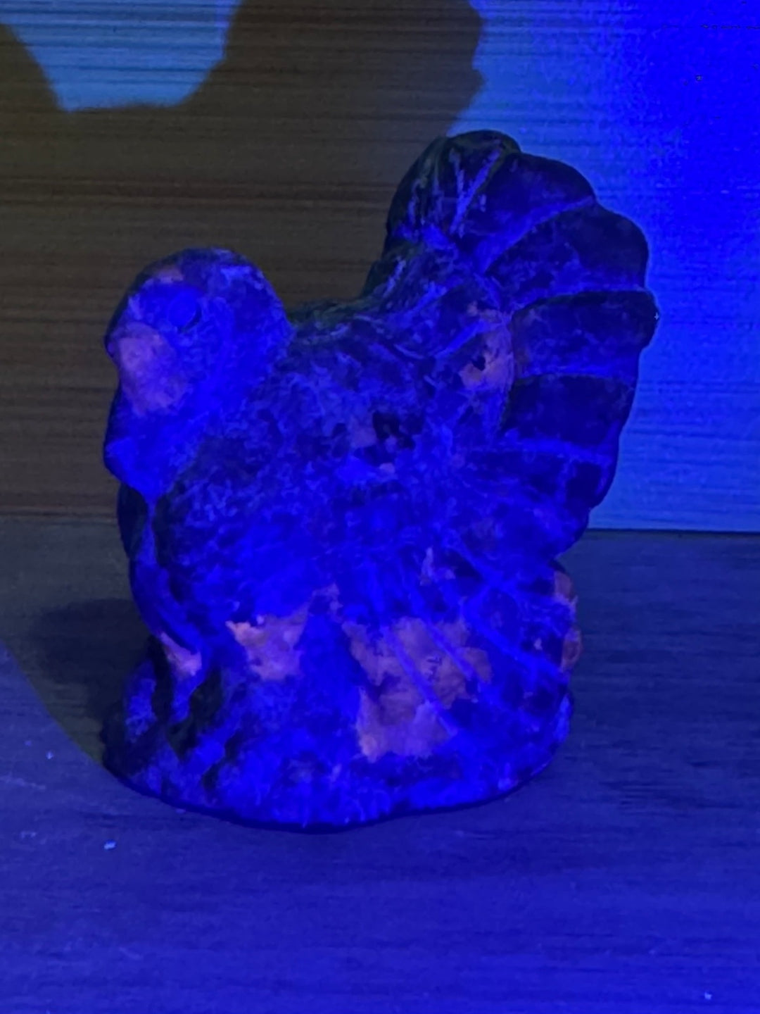  Emberlite Turkey Carving under UV