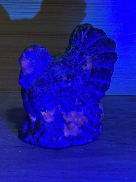  Emberlite Turkey Carving under UV