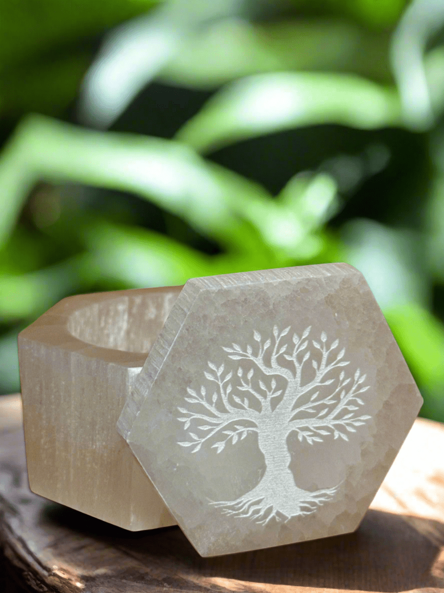 Selenite Hex Box With Tree of Life Carved on Lid