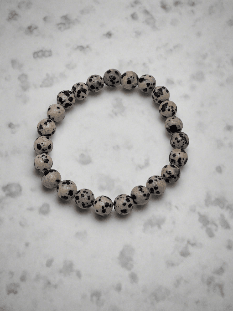 Dalmatian Jasper Stretch Bracelet