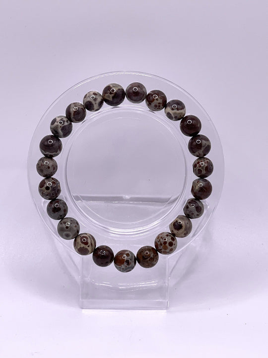 Asteroid / Astrolite Jasper Stretch Bracelet