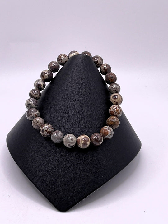 Asteroid / Astrolite Jasper Stretch Bracelet