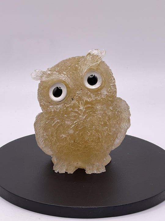 Natural Crystal Resin Owl