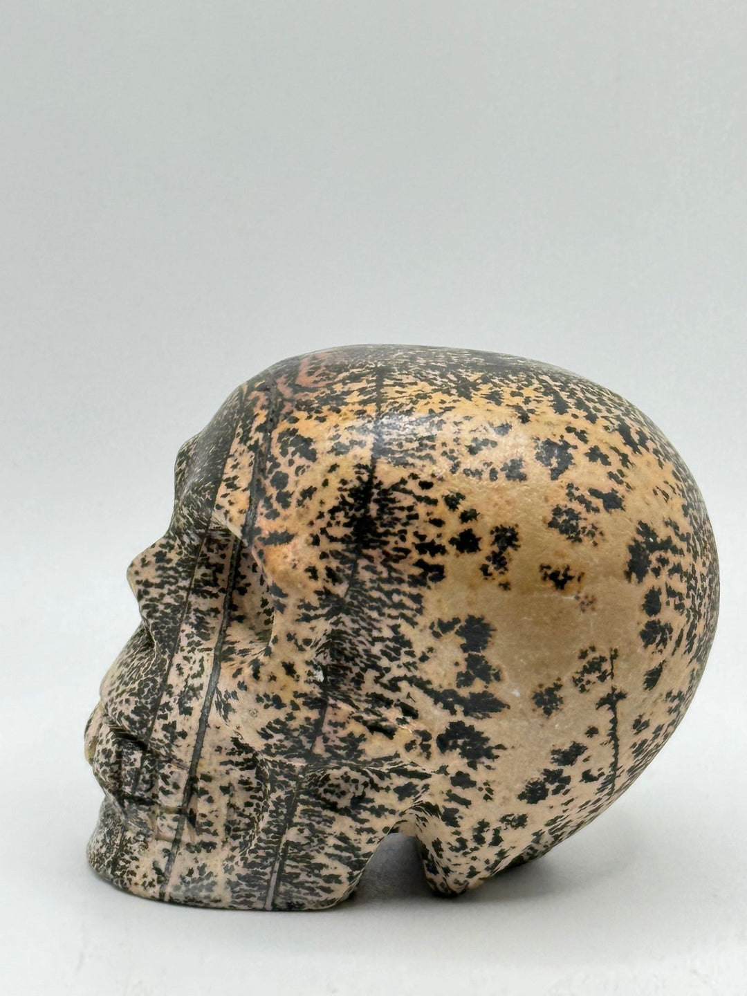 Dendritic Picture Jasper Skull Carving