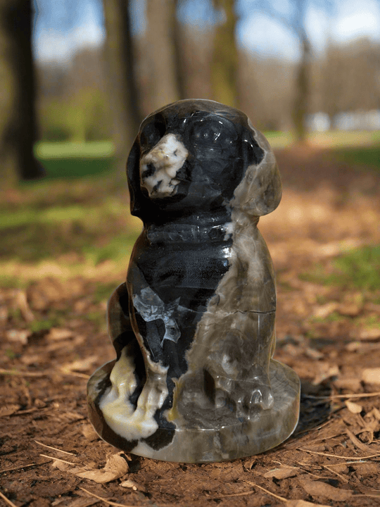 Volcano Agate Dog