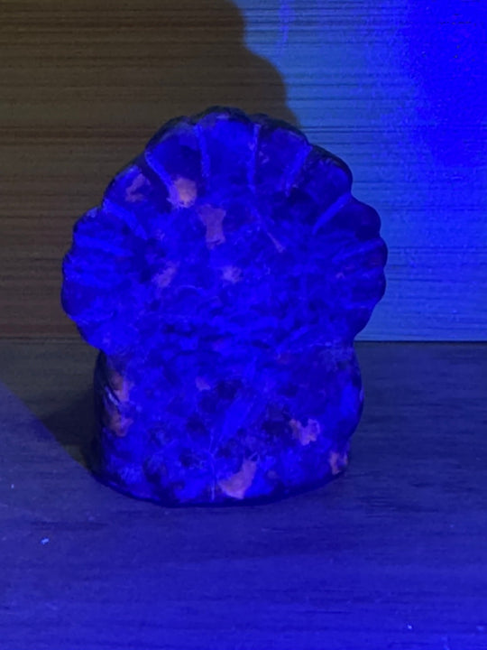  Emberlite Turkey Carving under UV