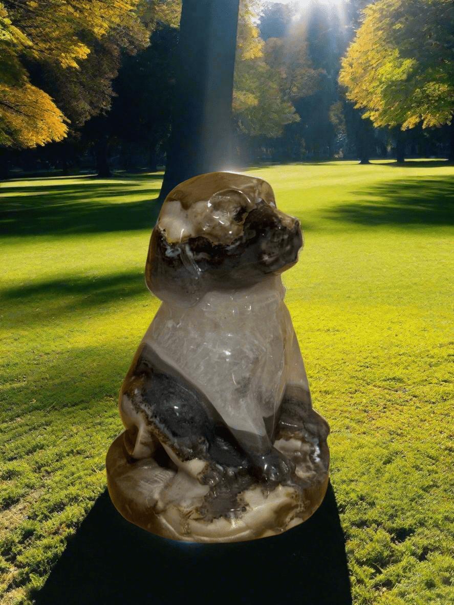 Volcano Agate Dog
