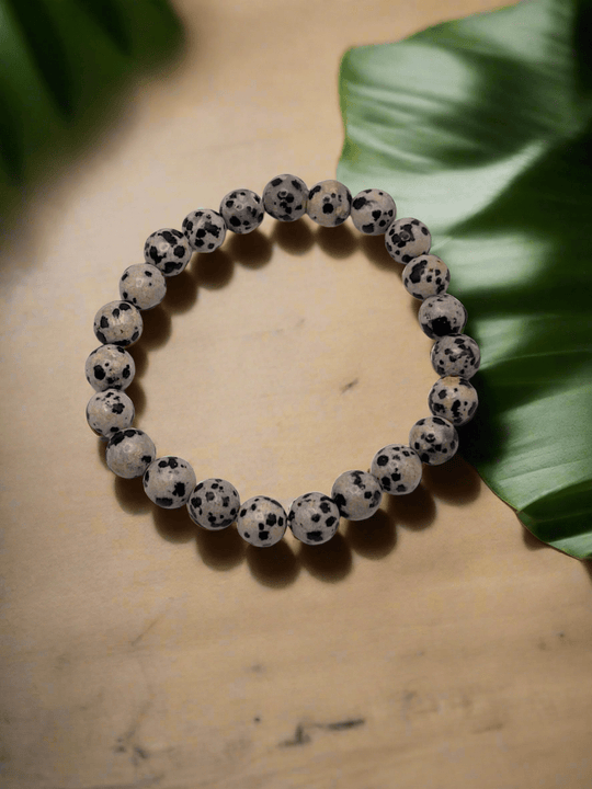 Dalmatian Jasper Stretch Bracelet