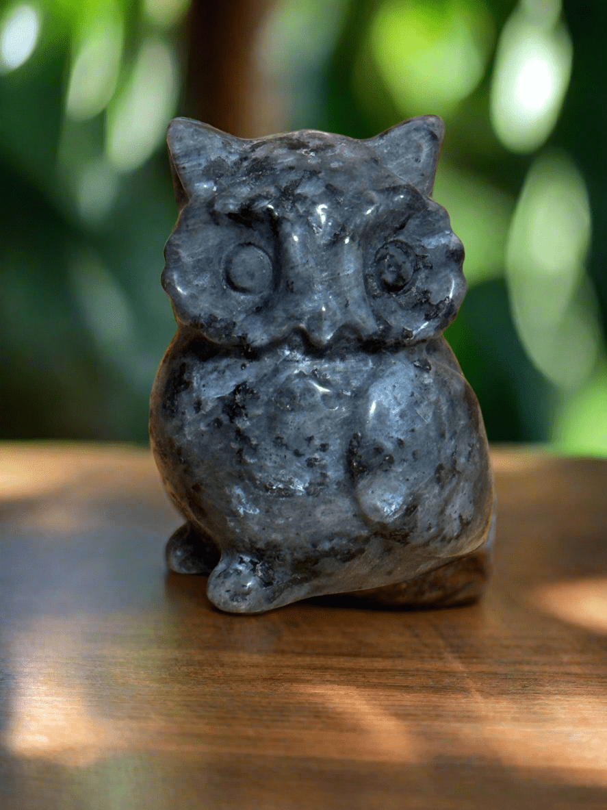 Owl Carvings