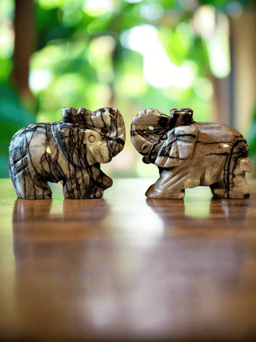 Elephant Carvings
