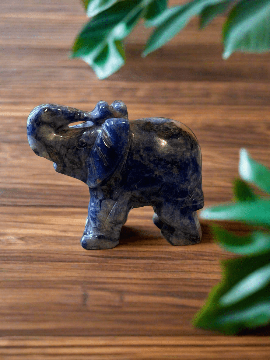 Elephant Carvings