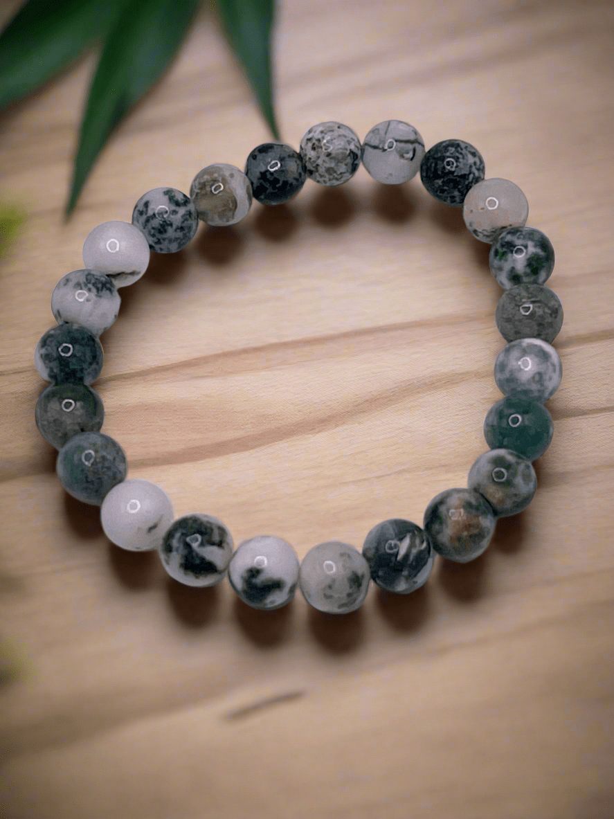Tree Agate Stretch Bracelet