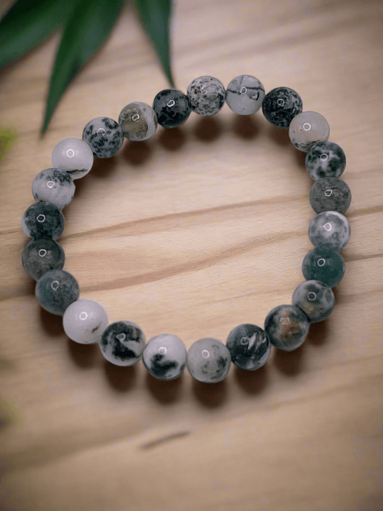 Tree Agate Stretch Bracelet