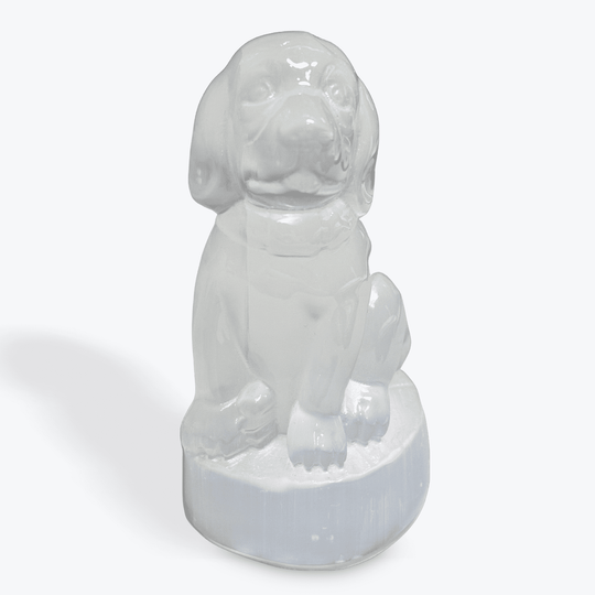 Selenite / Satin Spar Dog