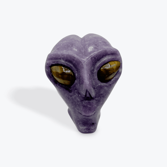 Alien 👽 Head