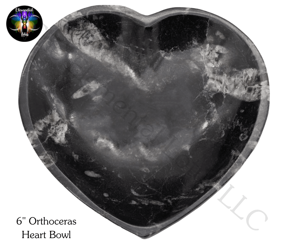 Orthoceras Heart Bowl / Dish