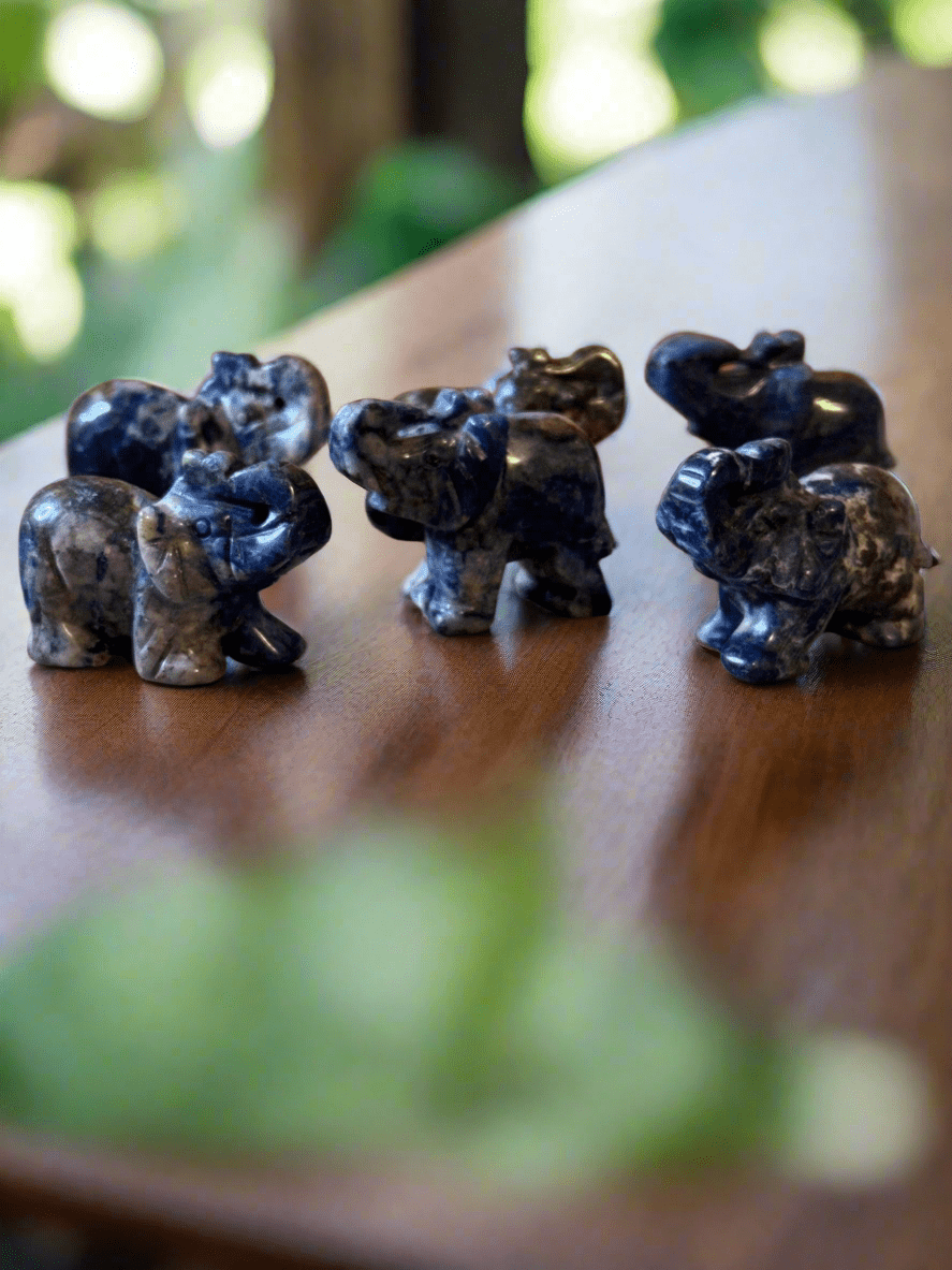 Elephant Carvings