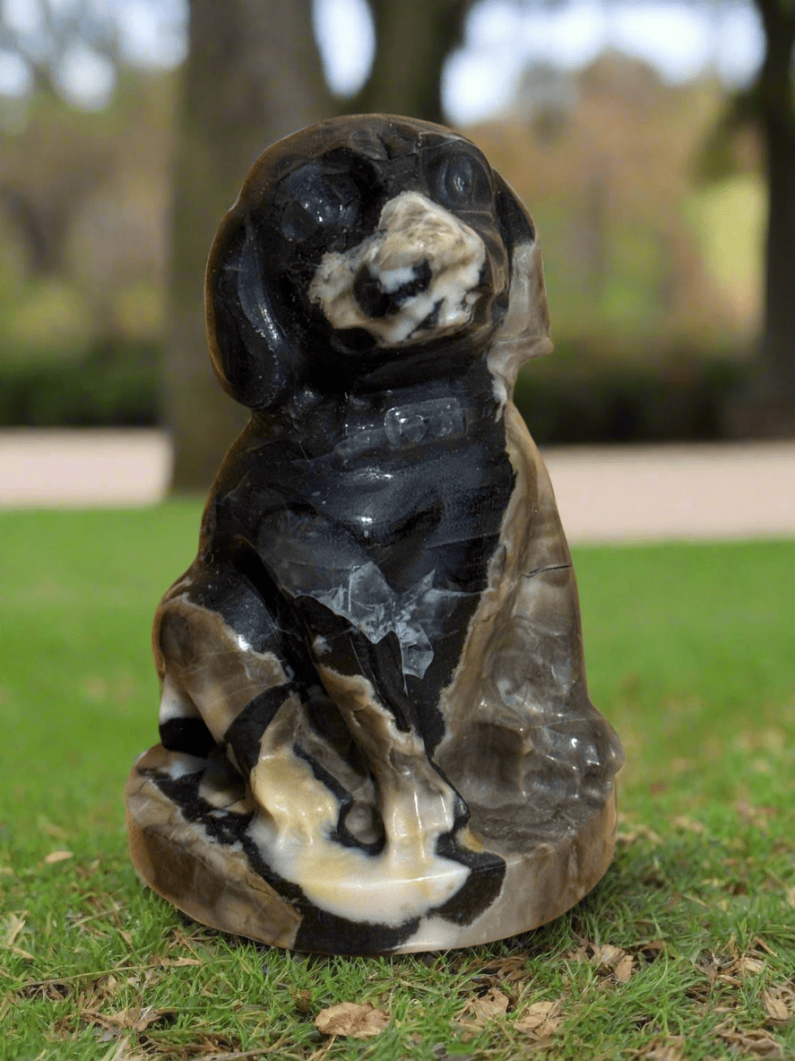 Volcano Agate Dog