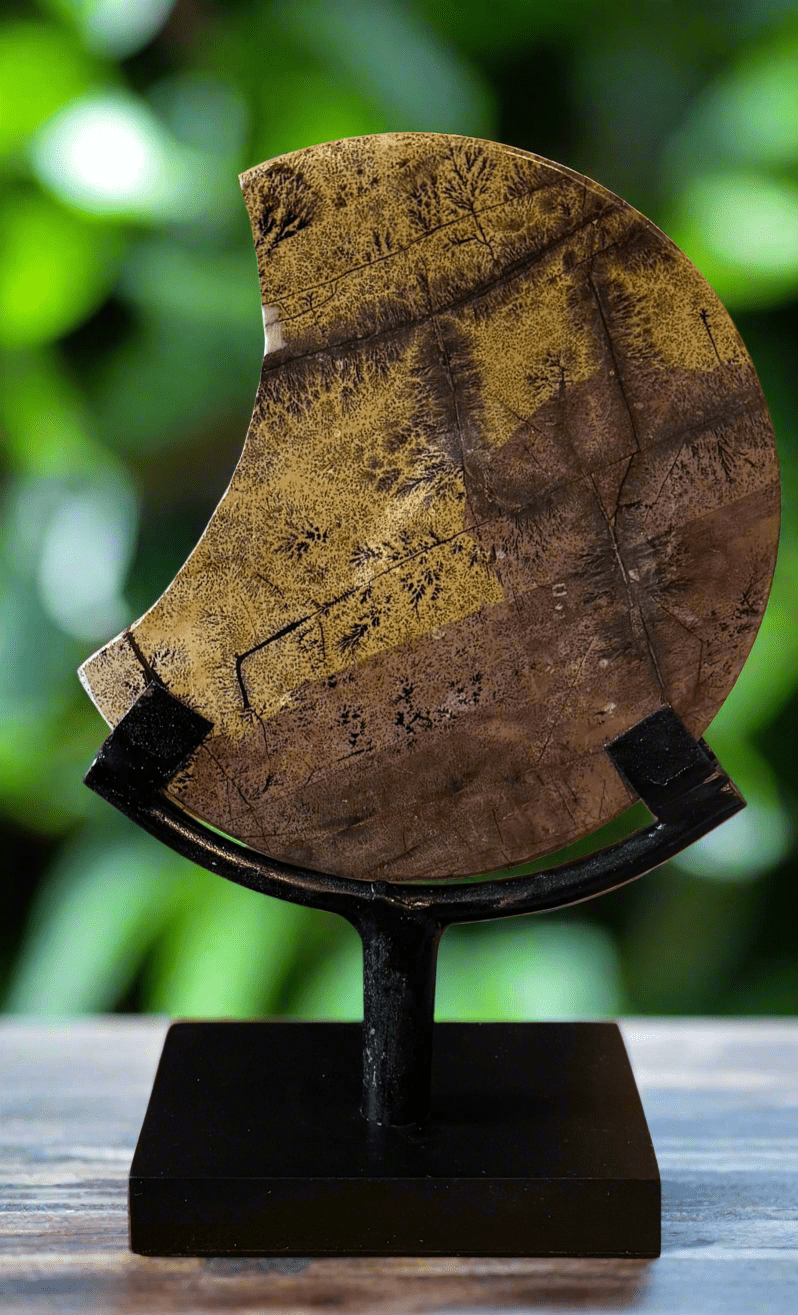 Dendritic Picture Jasper