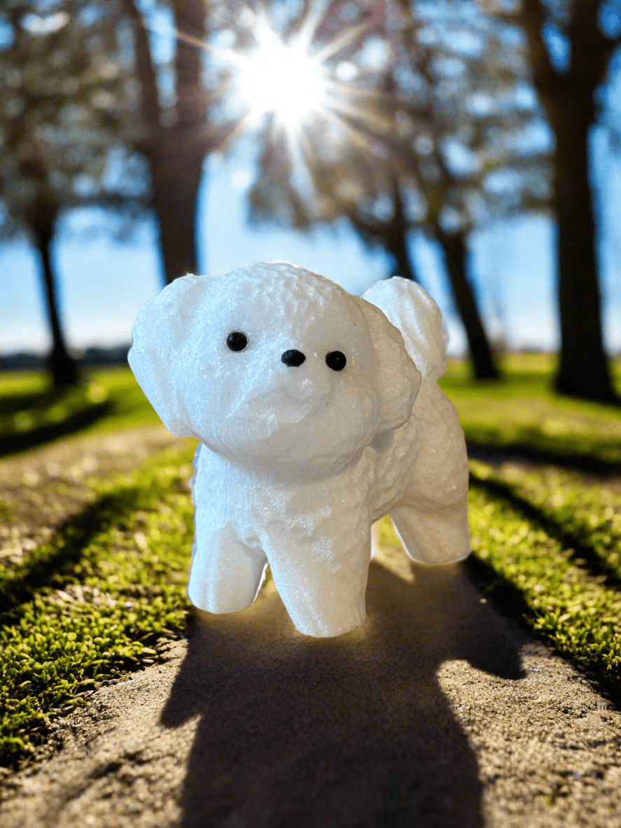 White Jade Bichon Poodle