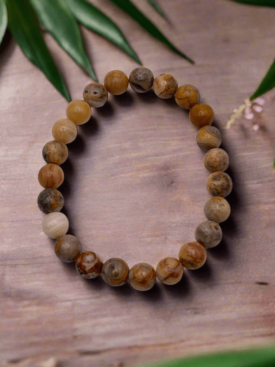 Crazy Lace Agate Stretch Bracelet