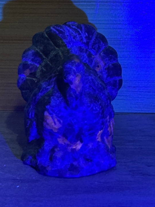  Emberlite Turkey Carving under UV