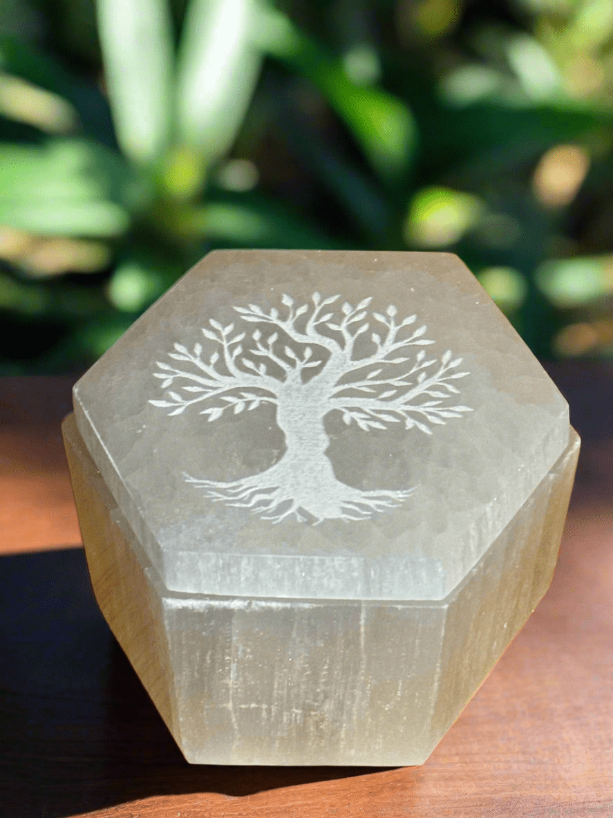 Selenite Hex Box With Tree of Life Carved on Lid