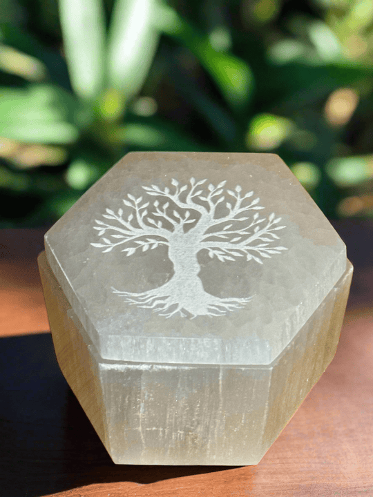 Selenite Hex Box With Tree of Life Carved on Lid