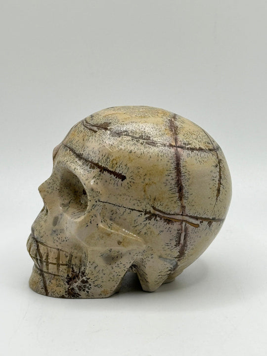 Dendritic Picture Jasper Skull Carving