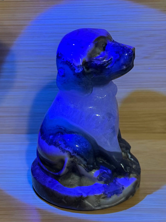 Volcano Agate Dog