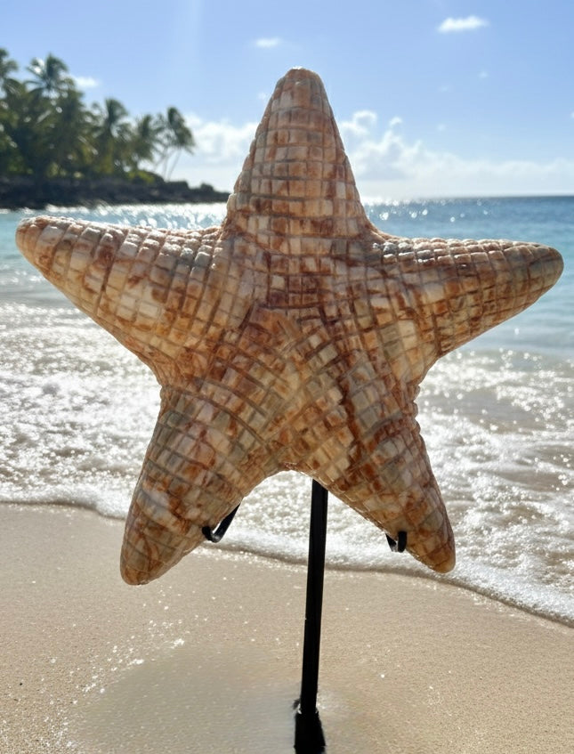 Artisan Hand-Carved Red Network Jasper Starfish