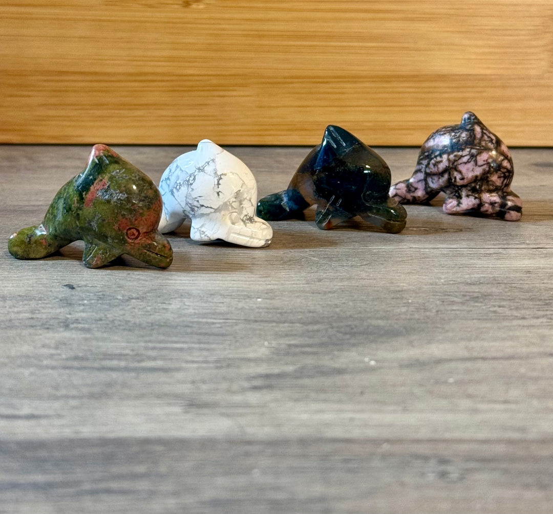 Mini Dolphin Carvings