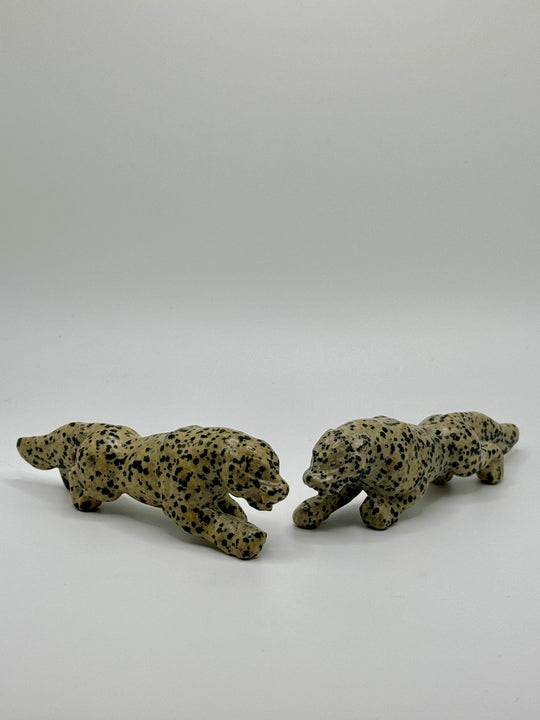 Dalmatian Jasper Leopards