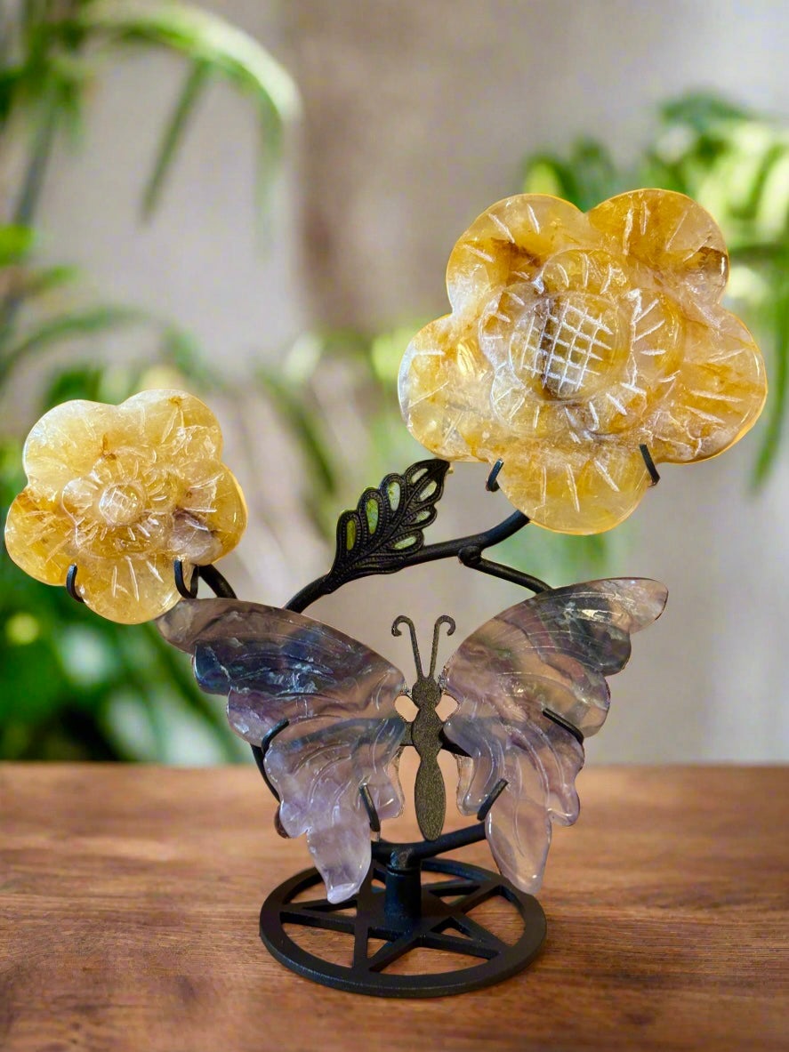 Butterfly and Daisies