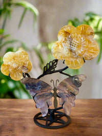 Butterfly and Daisies