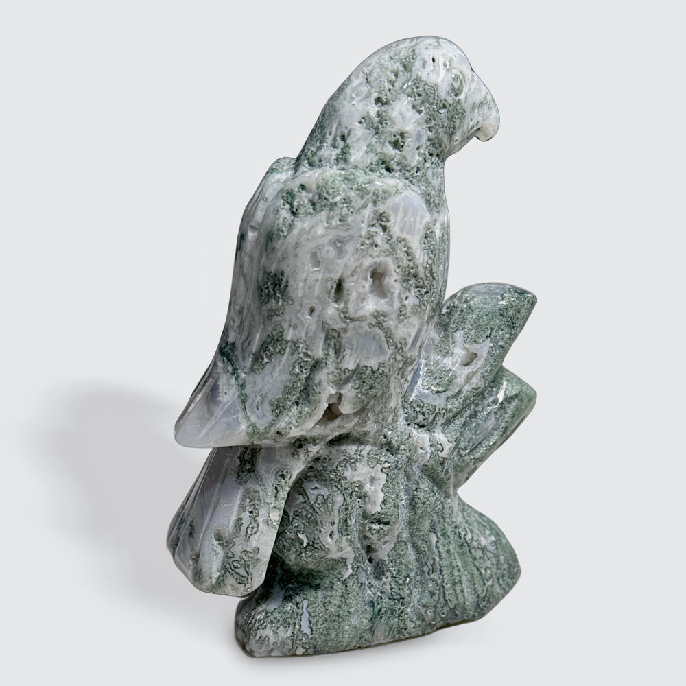 Moss Agate Parrot