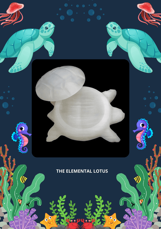 Selenite Turtle Bowl with Lid