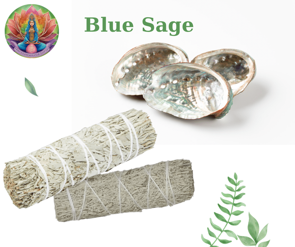 Blue Sage Wand - Cleansing / Smudging