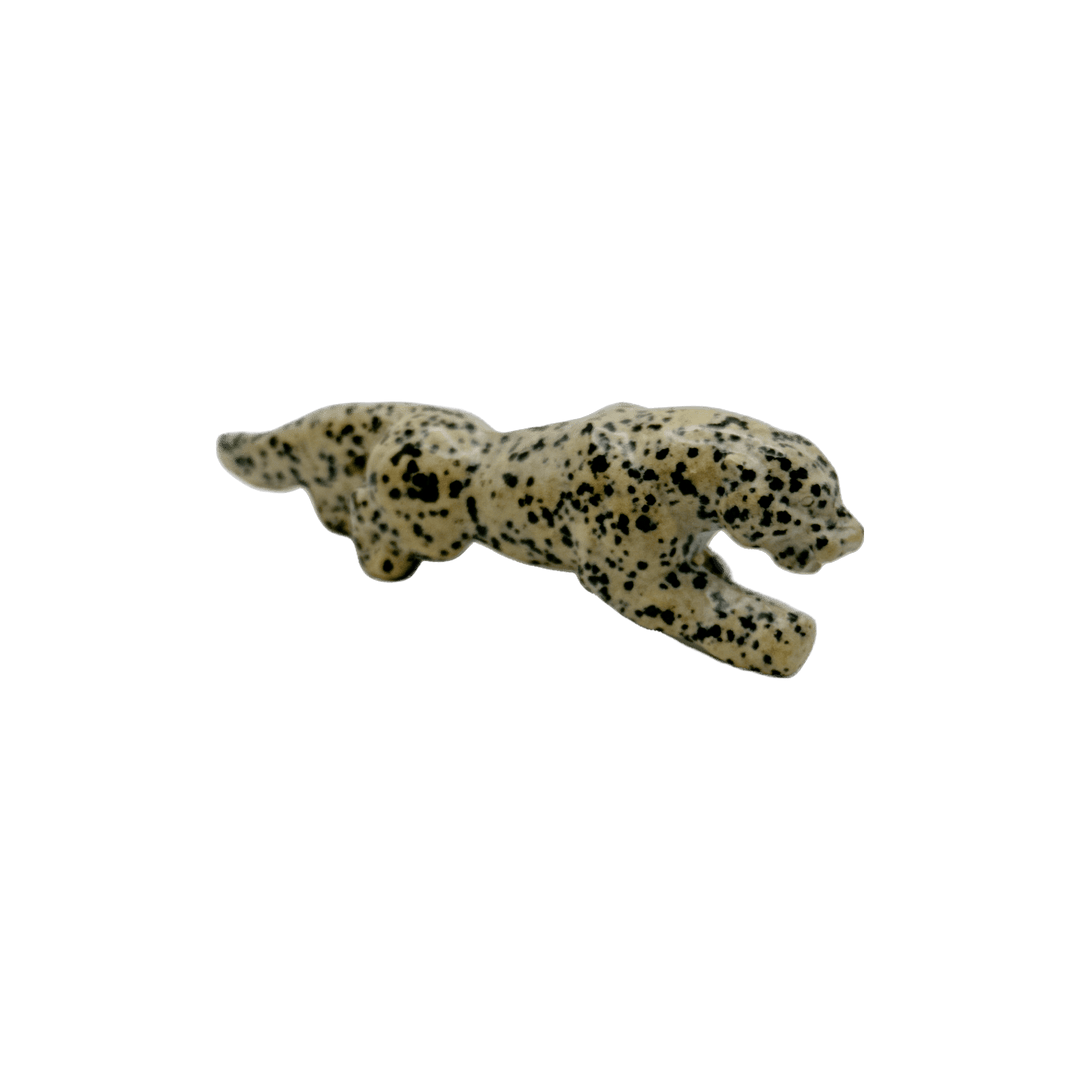 Dalmatian Jasper Leopards