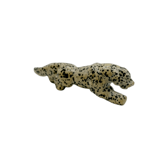 Dalmatian Jasper Leopards