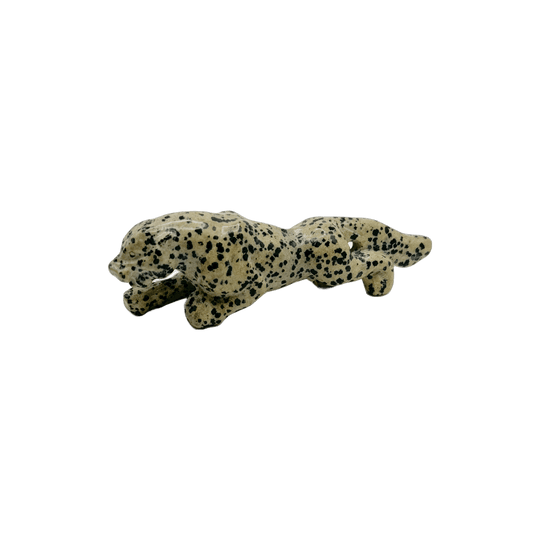 Dalmatian Jasper Leopards