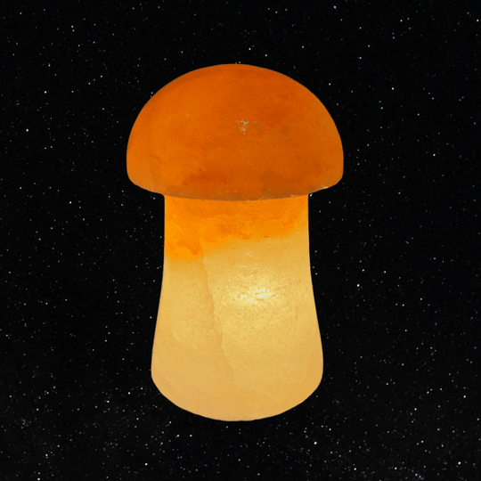 Himalayan Salt Mushroom Lamp