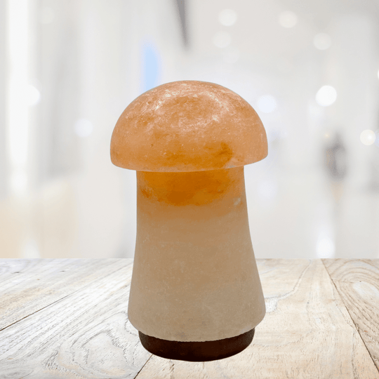 Himalayan Salt Mushroom Lamp