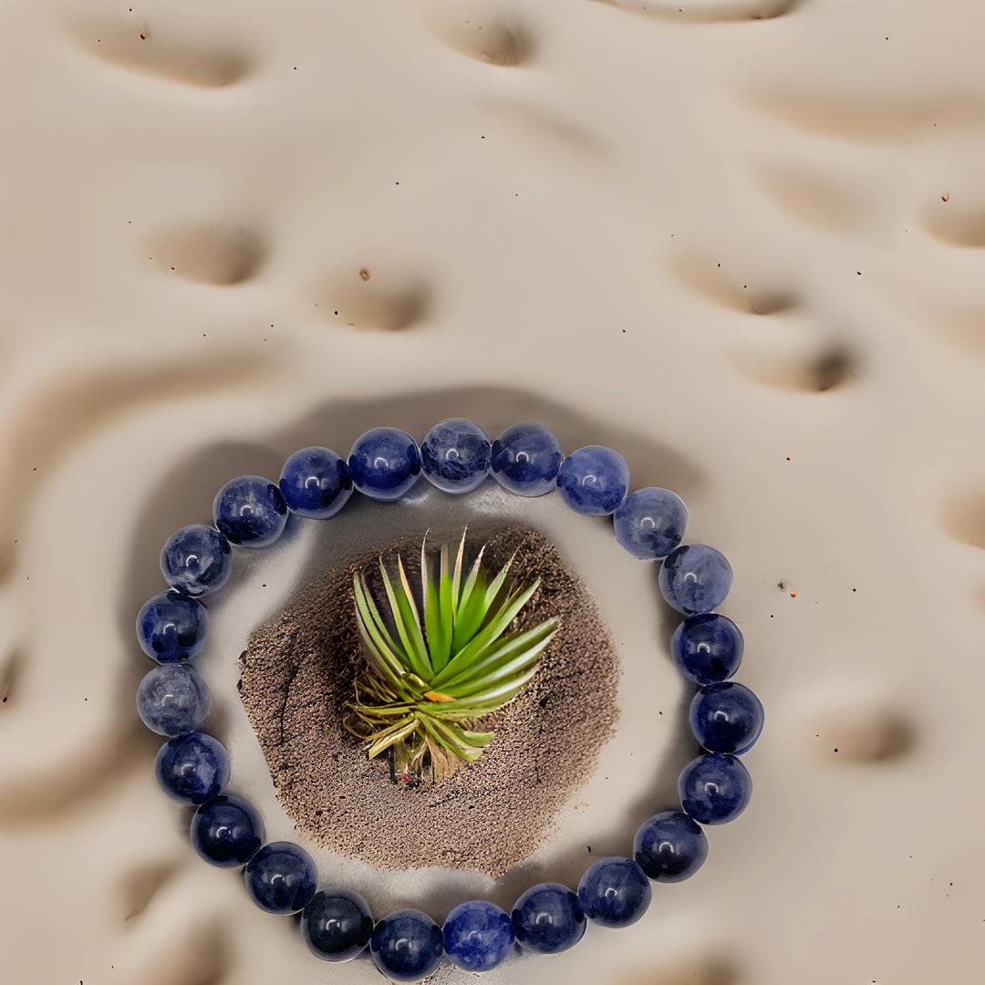 Sodalite Stretch Bracelet