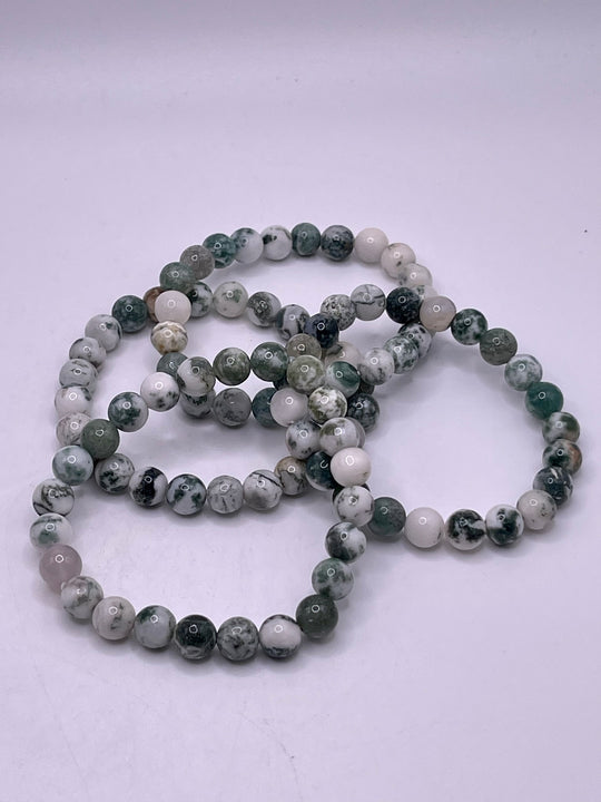 Tree Agate Stretch Bracelet