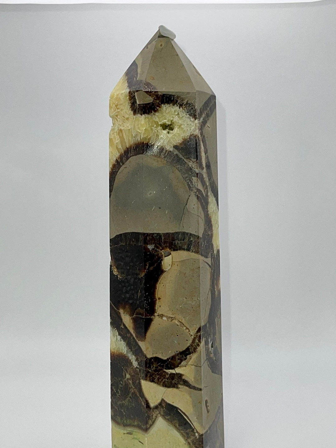 Septarian Crystal Tower / Point / Obelisk - Dragon Stone