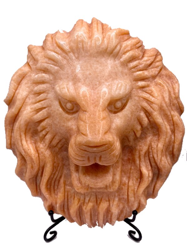 Large Lion Head